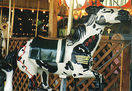 Fiberglass Jumper